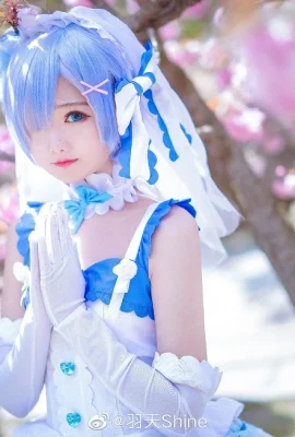 Betreff: Leben in einer anderen Welt als Zero Rem Flower Marriage @禹天Shine (9 Fotos)