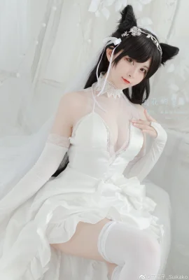 Azur Lane Atago@水瓜子_Suikako (9 Fotos)