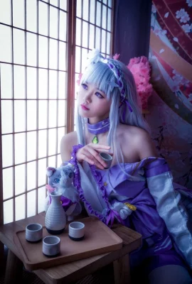 „Re:Zero Starting Life in Another World“ Emilia Cosplay[CN: Laura](8 Fotos)