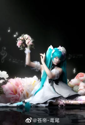 Hatsune Miku@青帝-iris(10 Fotos)