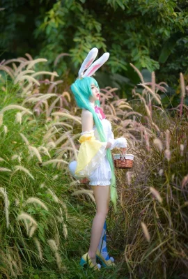 „VOCALOID“ Hatsune Miku Cosplay[CN: A_Tsukihime](9 Fotos)