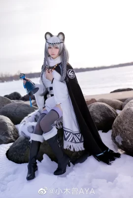 Arknights‘ erster Schnee@小ogisoAYA (9 Fotos)