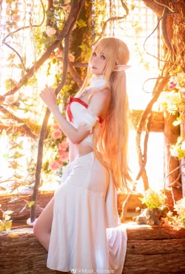 Sword Art Online Asuna @Mooi_Nanase (9 Fotos)