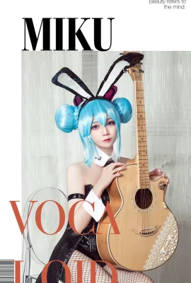 Hatsune Miku@chuchuziw (9 Fotos)