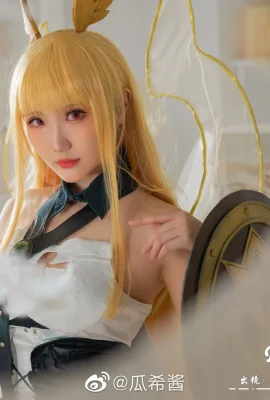 FGO Valkyrie Slud@guaxijiang(9 Fotos)