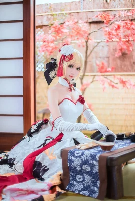 Schicksal/Grand Order Arturia Pendragoncn: Eel Feier (13 Fotos)