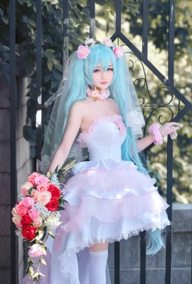 Hatsune Miku Hatsune Miku Fan Hanayome cn: Sakura-Sakura (8 Fotos)