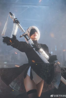 (Prinz Elinor) Yorha Nr.2 Typ B