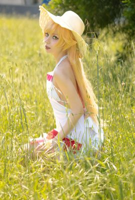 Himeecosplay – Shinobu Oshino