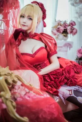 Fate/Extra Nero Claudius Rose Dress.ver cn: Große Rollen und kleine Rollen (12 Fotos)