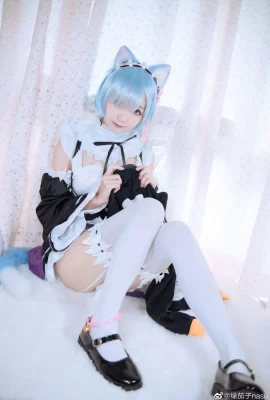 Betreff: Leben in einer anderen Welt als Zero Rem Cat Ears @Green Eggplant Nasu (9 Fotos)