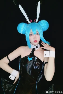 Hatsune Miku@星子-Makotos aktuelle Freundin (10 Fotos)