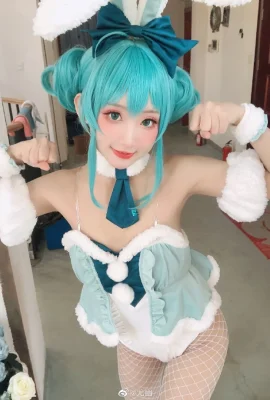 Hatsune Miku Miku Hasenmädchen@youyou(9 Fotos)