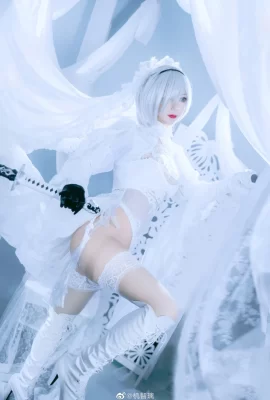 Nier: Automata 2b Fan Hua Marry @jizhili (9 Fotos)