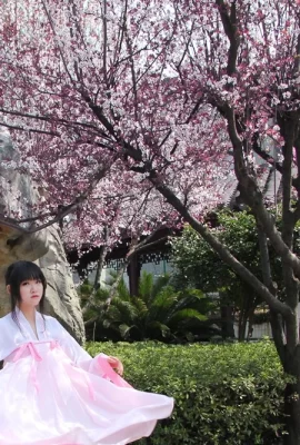 Xia Ning Ning-Hanfu Sakura-Pulver