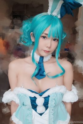 Minichu – Hase Miku