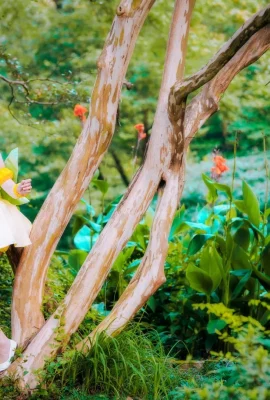 Cardcaptor Sakuragi no Honsakura@木之本如(9 Fotos)