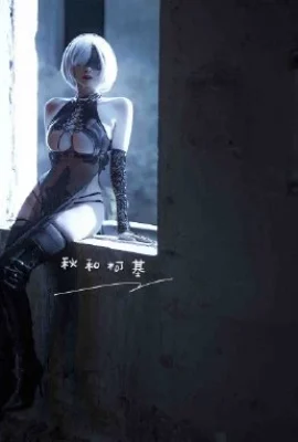 Nier Automata 2b Fan-Cheongsam mit CN Qiu und Corgi (9 Fotos)