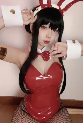 (Cosplay) Hakaosan – Bunny Yor