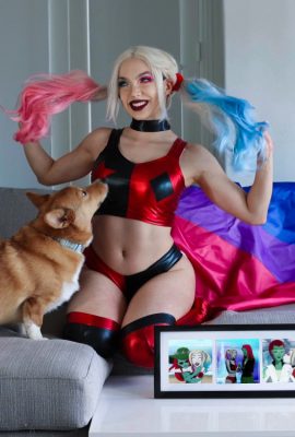 Miss Bri – Harley Quinn