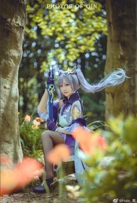 Genshin Keqing@Halo_江(9 Fotos)