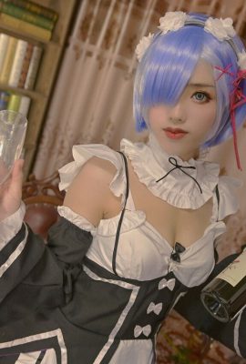 Titanlegierung TiTi – Rem
