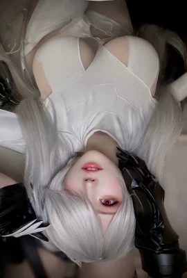 Shokora Cosplay Cinderella