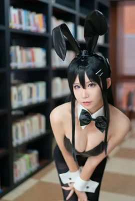 Anime Blogger liebt Lehrer_Phd – Bunny Girl Senior Sister (8 Fotos)