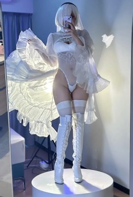 NIR Wörter (Jiu Yan) 2B – Nierautomata